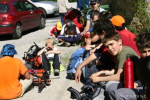 img_1210012065_518