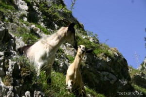 img_1210012065_860