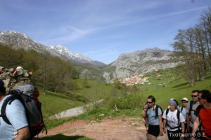 img_1210012066_370