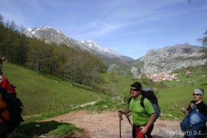 img_1210012066_649