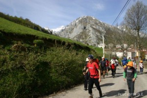 img_1210012066_798