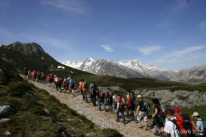 img_1210012068_448