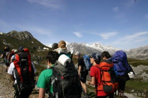 img_1210012068_601