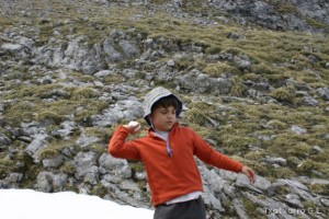 img_1210012071_979