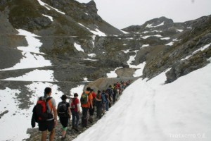 img_1210012072_290