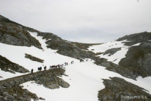 img_1210012073_520