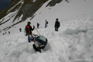 img_1210012075_460