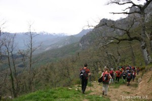 img_1210012078_156