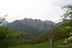 img_1210012078_864
