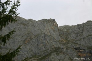 img_1210012081_306