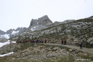 img_1210012085_743