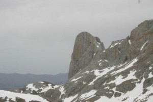 img_1210012091_568