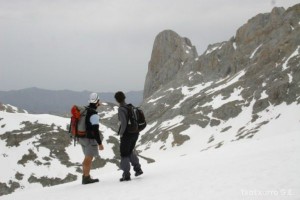 img_1210012092_232
