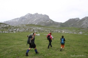 img_1210012094_528