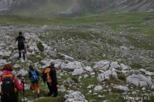 img_1210012094_568