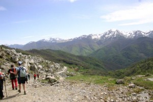 img_1210012095_281