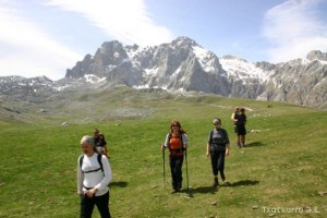 img_1210012095_36