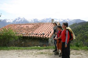 img_1210012095_367