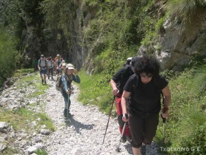 img_1210144319_152