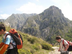 img_1210144351_410