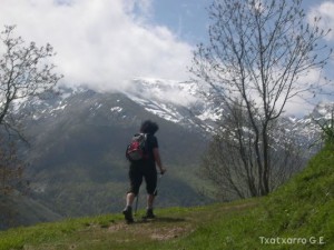 img_1210144459_526