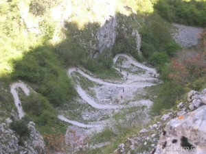img_1210144509_603