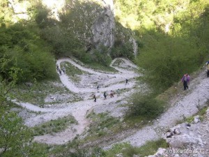 img_1210144526_245