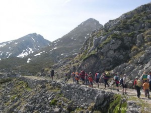 img_1210144649_596