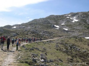 img_1210144663_161