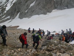 img_1210144769_297