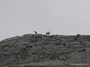 img_1210144869_259