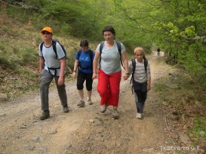 img_1210145076_209