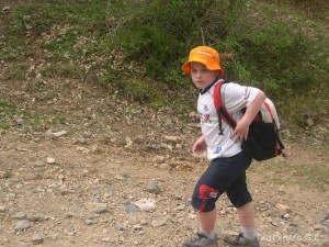 img_1210145090_295