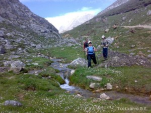 img_1211135940_815
