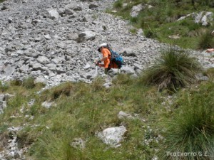 img_1225029387_208