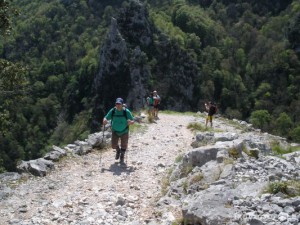 img_1225029419_661