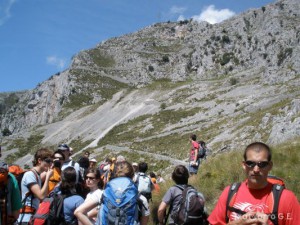 img_1225029437_119