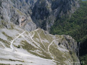 img_1225029455_828