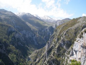 img_1225029533_208