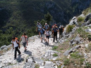 img_1225029547_518