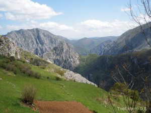 img_1225029589_240