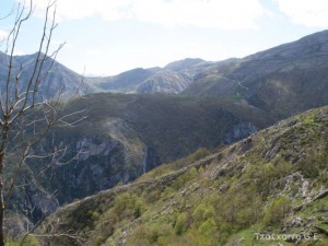 img_1225029604_315