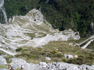 img_1225029623_313