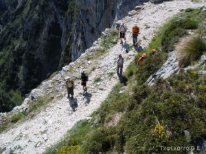 img_1225029637_133