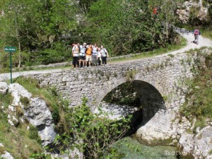 img_1225029665_418