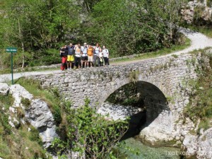 img_1225029680_168