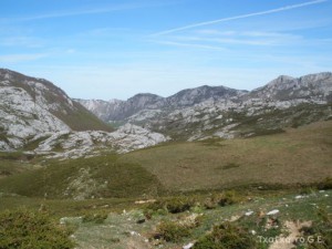 img_1225029773_613