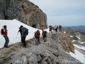 img_1225029942_467