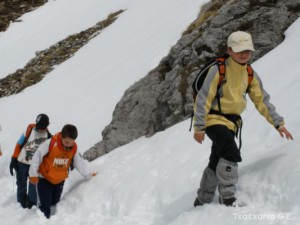 img_1225030076_446