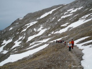 img_1225030152_366
